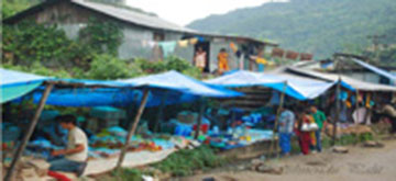 bindu market, dream wanderlust