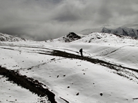 A snowy trail