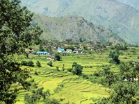 Takam Village