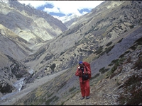 Way to Rupa