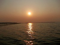 chilika lake, odisha