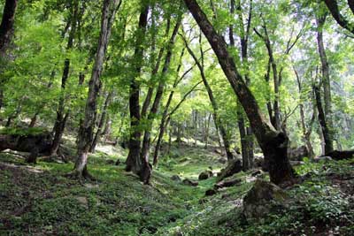 dream wanderlust, nature, trekking, travel, pin parvati