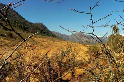 dream wanderlust, nature, trekking, travel, thuldhap