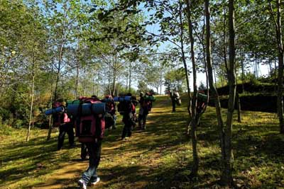 dream wanderlust, nature, trekking, travel, uttarey, achaledara