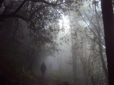dream wanderlust, nature, trekking, travel, varsey