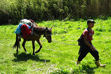 Sandakphu