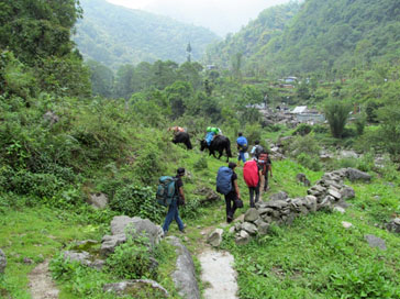 goecha la trekking
